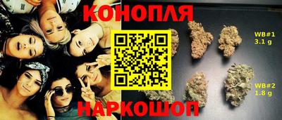 сатива Сланцы