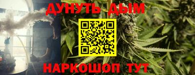 сатива Сланцы