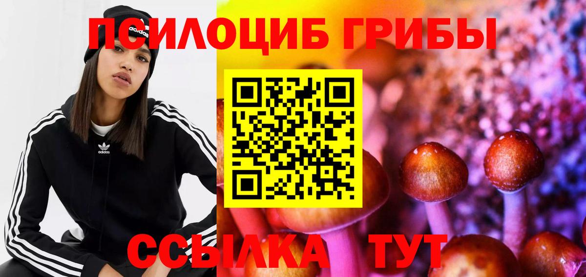 Галлюциногенные грибы ЛСД Ржев