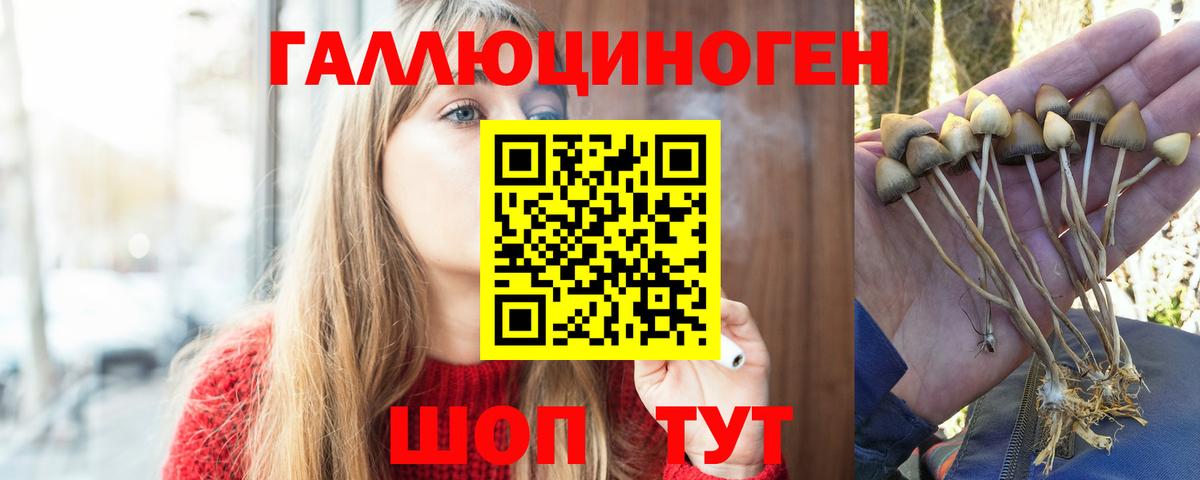Галлюциногенные грибы ЛСД  Галлюциногенные грибы Psilocybine cubensis  Вход с VPN  Ржев 